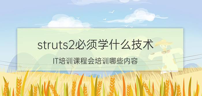 struts2必须学什么技术 IT培训课程会培训哪些内容？